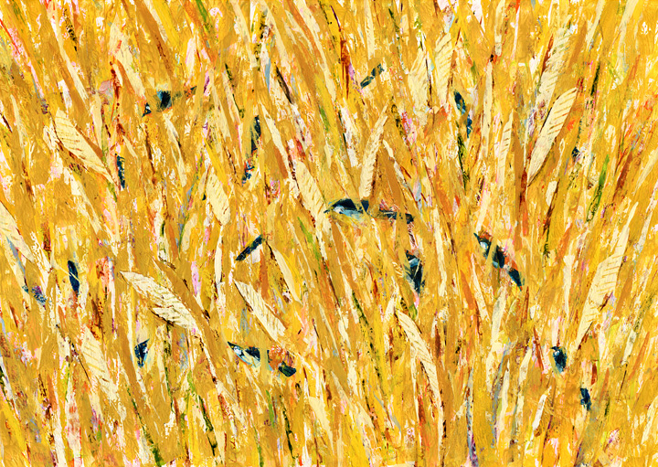 �����ƒ�